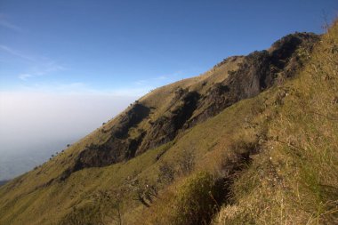 Merbabu dağ yürüyüşü yolunun manzara manzarası. Merkezi Java / Endonezya