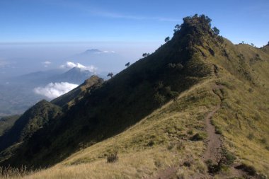 Merbabu dağ yürüyüşü patikasından bir görüntü. Merkezi Java / Endonezya.