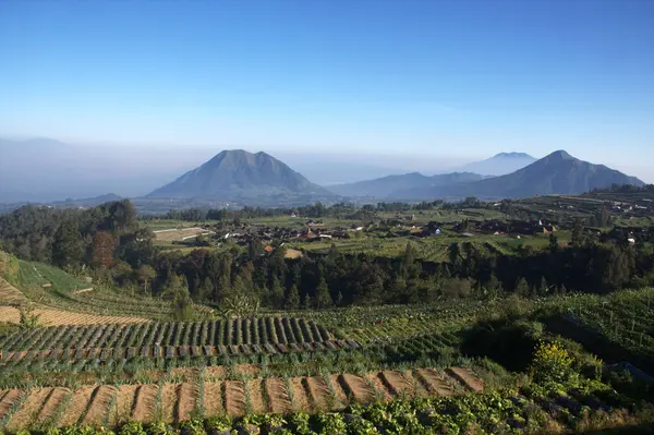 Vista Trilha Caminhadas Montanha Merbabu Java Central Indonésia — Fotografia de Stock