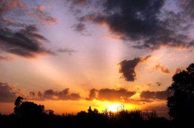 Orman siluetiyle Günbatımı lşığı                                                              