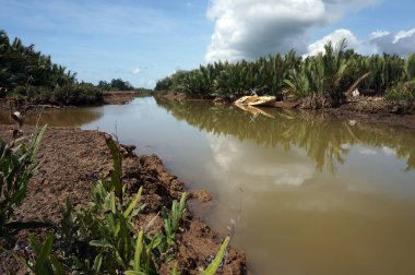 Nehir manzarası, nemba ağaçları ve eski ahşap tekne enkazı..                                                              