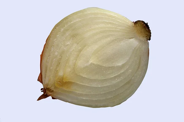 バワン ボンベイ 白を基調とした玉ねぎの食感 — ストック写真