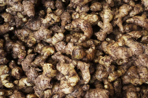 stock image Fresh organic ginger sell in traditional market indonesia.                                                           