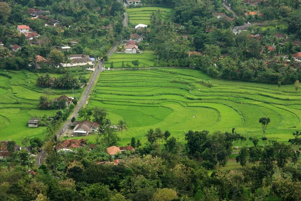 Top View Village Rice Field Localização Wonosari Yogyakarta Indonésia — Fotografia de Stock