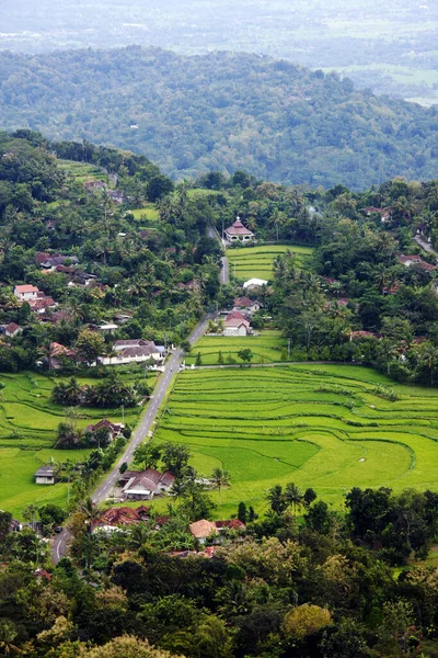 Vista Aldeia Campo Arroz Localização Ngelanggeran Valley Wonosari Yogyakarta Indonesia — Fotografia de Stock