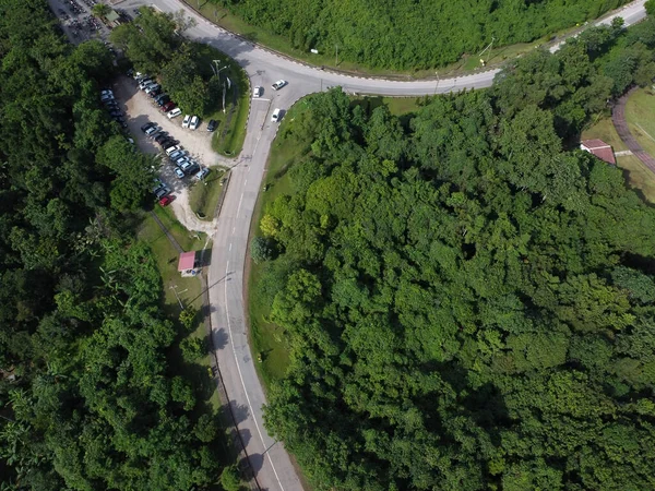 Road through green forest, Aerial view of car driving through forest, Aerial top view forest, Texture of forest view from above, Ecosystem and healthy environment concept and background.