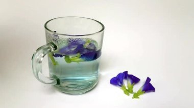 Zaman aşımı, şifalı bitki, telang, teleng çiçeği ya da beyaz arka plandaki camda klitoria ternatea.