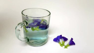 Zaman aşımı, şifalı bitki, telang, teleng çiçeği ya da beyaz arka plandaki camda klitoria ternatea.