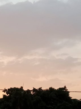 Bulanık gün batımı ve siluet ağacı 