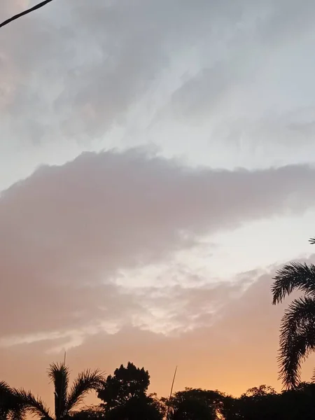 Sonnenuntergang Und Silhouettenbaum Verschwimmen — Stockfoto