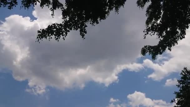 映像60 2番目に 雲で明るい空をタイムラプス — ストック動画