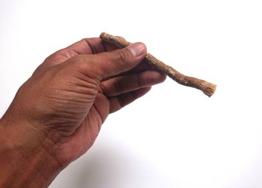 Erkek eli, siwak ya da miswak, eski geleneksel diş fırçası ve diş macunu beyaz arka planda