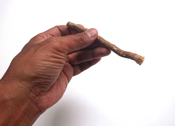 Мужчина Руку Держать Сивак Мисвак Старую Традиционную Зубную Щетку Зубную — стоковое фото
