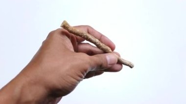Görüntücü el, siwak ya da miswak, eski geleneksel diş fırçası ve diş macunu beyaz arka planda