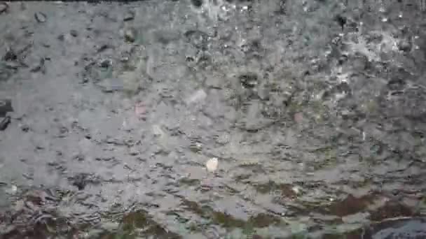 Кадри Повільний Рух Нормальна Швидкість Звукових Дощів Падають Бруківки — стокове відео