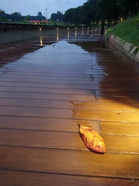 Folha Footpath Molhado Madeira Caminho Após Chuva Noite — Fotografia de Stock