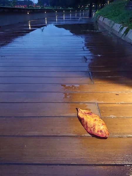 Leaf Wooden Wet Footpath Foot Path Rain Evening — Stock Photo, Image