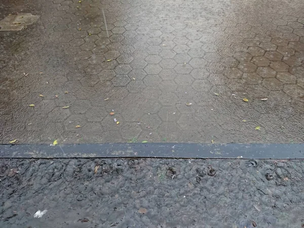 Close Rain Water Drop Paving Block — Stock Photo, Image
