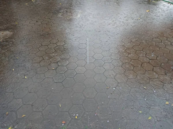 Close Rain Water Drop Paving Block — Stock Photo, Image