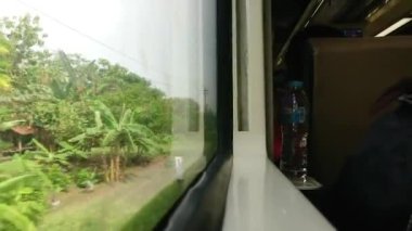 pirinç tarlası, dağ, orman, tren yolu, trenin penceresinden manzara