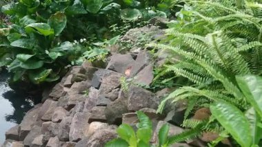 Fabrikanın Ötesinde Uçan Küçük Kelebek 'in görüntüleri 