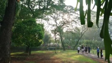 Çamur Rengi, Güneş Işığı Ağaçların Arasında Süzülen Lif Şehir Parkı