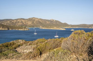 Aerial view of the Malfatano Gulf in the south of Sardinia with many beautiful beaches and blue and turquoise water clipart