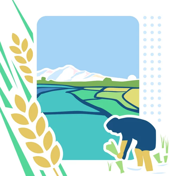 Renkli Soyut Pirinç Alanı Vektör Tasarımı — Stok Vektör