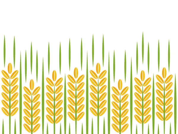 Спелые Рисовые Пшеничные Поддоны — стоковый вектор