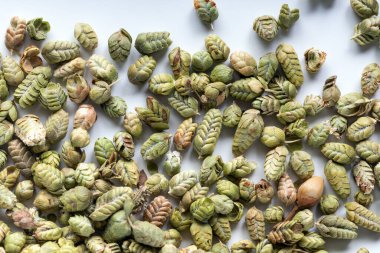 Beyaz arka planda doğal kekik baharatı (Thymus vulgaris). Üst görünüm.