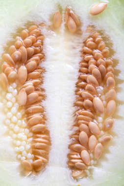 Yakından kavun çekirdeği dokusu. Karpuz meyvesi posası. 