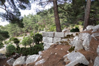 Kitanaura, Türkiye 'nin Antalya ilinin Kemer ilçesinin yukarısındaki dağlarda bulunan antik bir Lycian kentidir. Şehir, Antalya Üniversitesi tarafından arkeolojik olarak keşfedilmiş, ancak kazı yapılmamıştır.. 