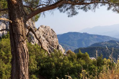 Taurus Dağları ve ormanları manzarası. Tahtali, Antalya.