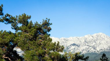 Taurus Dağları ve ormanları manzarası. Antalya, Türkiye.