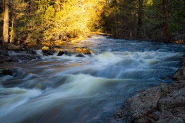 Pine Creek pınarı Lassen County, Kaliforniya 'da Kartal Gölü ve Spalding yakınlarında akar..