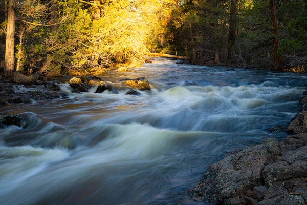 Pine Creek pınarı Lassen County, Kaliforniya 'da Kartal Gölü ve Spalding yakınlarında akar..