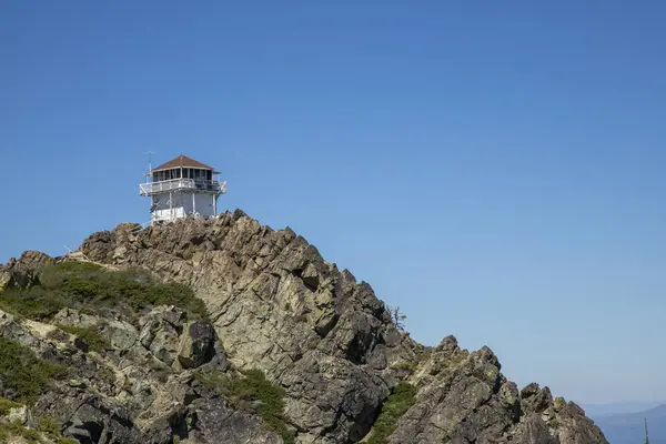Kaliforniya 'nın Kaliforniya eyaletindeki bir meşe ağacının tepesine büyük bir balıkçıl (Ardea alba) tünedi..