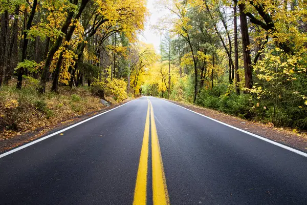 California State Route 32 Tehama County California 'da Deer Creek boyunca sonbaharda.