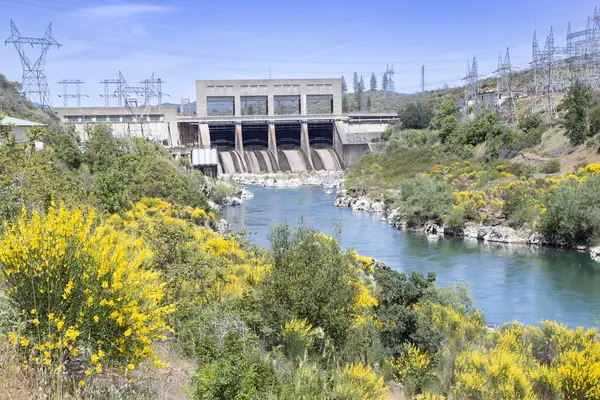 Sacramento nehri kıyısındaki Keswick Barajı, California, Redding 'de, bir bahar günü çekilmiş, berrak mavi gökyüzünün altında canlı kır çiçekleri ve akan sular yer alıyor..