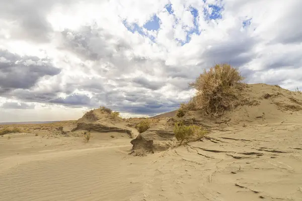 Noel Vadisi, Oregon 'da rüzgarla şekillendirilmiş kum tepeleri engebeli arazi, seyrek bitki örtüsü ve dramatik fırtına bulutları üzerimizde..