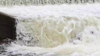Bir Kartal Gölü gökkuşağı alabalığının (Oncorhynchus mykiss aquilarum) Lassen County, Kaliforniya 'daki Pine Creek balık tuzaklarında akıntıya karşı sıçramasının yavaş çekim videosu..