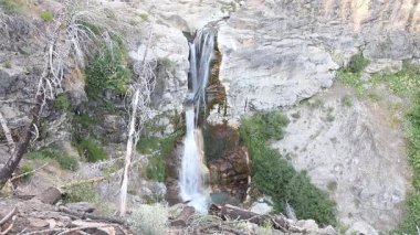 Mill Creek Şelaleleri Lassen Volkanik Ulusal Parkı 'ndaki kayalık bir kanyondan dökülüyor. Etrafı orman manzarasıyla çevrili..