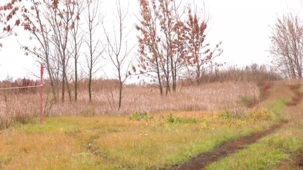 地雷在田野里爆炸了 爆炸后 一片黑烟升起 2022年俄乌战争 乌克兰境内的俄罗斯军队雷区和森林 — 图库视频影像