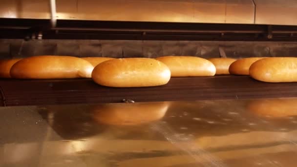 焼きたてのパンの黄金の愛は リボンに沿ってオーブンから駆動し 下に行きます パンの生産 大パン屋 — ストック動画