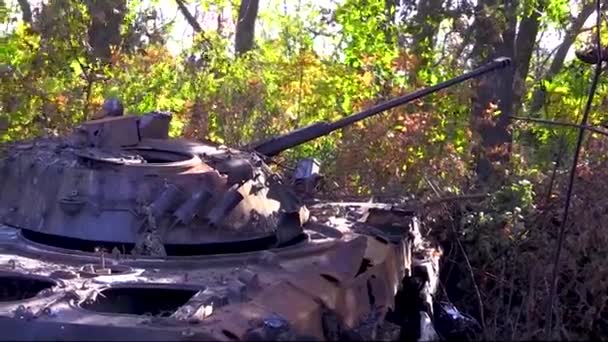 ウクライナの森林地帯で焼かれたロシアの戦車 ウクライナはロシアの侵攻から領土を防衛している ロシアはウクライナを攻撃した 本当の戦争2022 — ストック動画