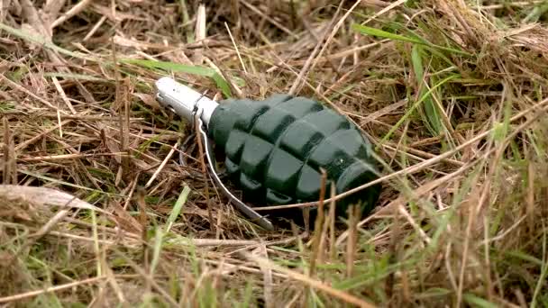 Combat Grenade Lies Dry Grass Dangerous Stretching Explosives Mined Areas — Stock Video