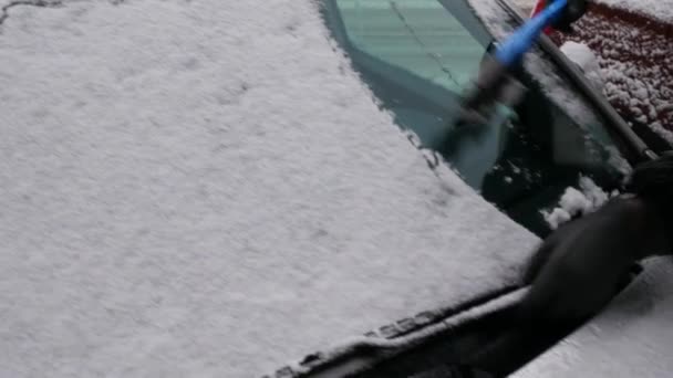 Vrouw Veegt Sneeuw Met Een Borstel Uit Autoruiten Winter Sneeuwvalconcept — Stockvideo