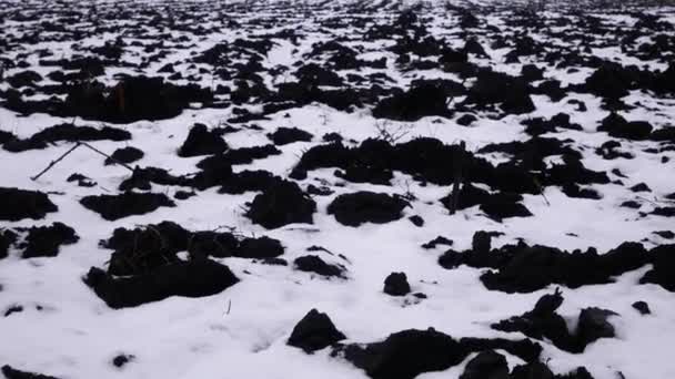 Solo Preto Arado Sob Neve Panorama Terra Agrícola Repousa Inverno — Vídeo de Stock