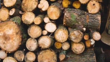 Yığınla odun. Panorama. Alternatif ısıtma yöntemleri. Ocaklar ve burjuvalar için yakıt. Meyve ağaçlarından yakacak odun. Enerji güvenliği. Kesinti. Yakacak odun rezervleri