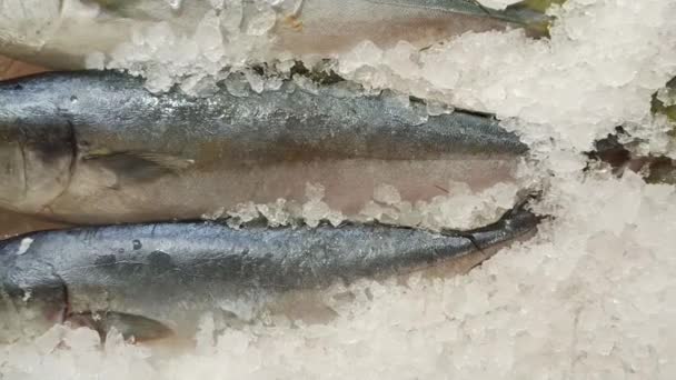 Φρέσκα Ψάρια Της Θάλασσας Στο Σούπερ Μάρκετ Βρίσκεται Στον Πάγο — Αρχείο Βίντεο